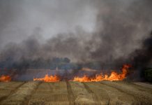 Ecologie quand tu nous tiens!© Par Michèle Mazel