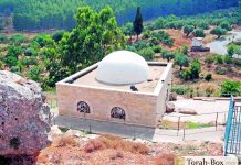 Yonathan Ben Ouziel: grandeur et humilité- vidéo