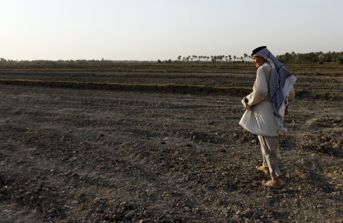 IRAQ-AGRICULTURE-RICE-DROUGHT