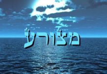 Metsora-Chabbat Hagadol: juste avant Pessah (vidéos)