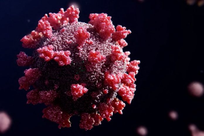 NEW VACCINES READY IN 100 DAYS IF OMICRON VARIANT RESISTANT TO C
