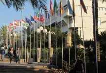 Francophonie en Israël: quels sont les défis?